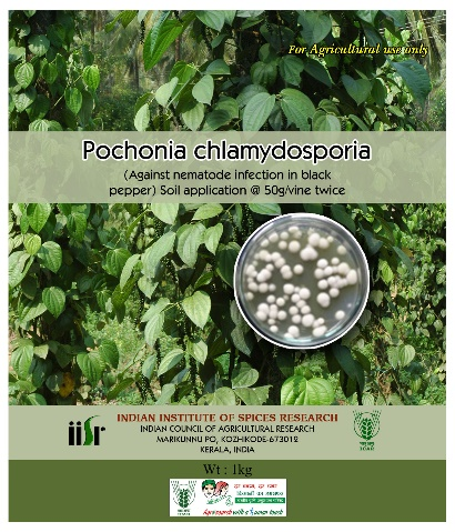 Pochonia chlamydosporia (NAIMCC-SF 0048)-for nematode management