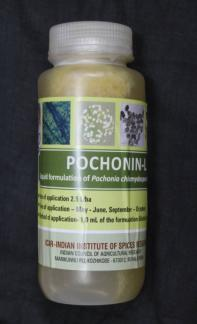 Pochonia