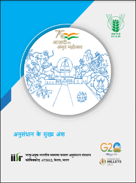 Research Highlights 2023