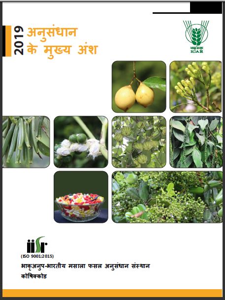 Research Highlights 2019