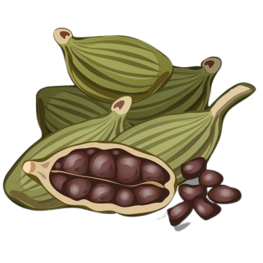 Cardamom